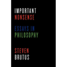 Important Nonsense: Essays in Philosophy