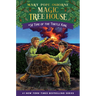 Time of the Turtle King