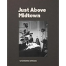 Just Above Midtown: Changing Spaces