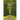The Longest Road