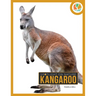 Kangaroo