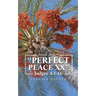 "Perfect Peace Xx": Judges 4:1 - 16