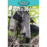Anteaters