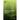 Radiation Tolerant Electronics, Volume II