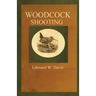 Woodcock Shooting