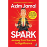 Spark: Journey from Success to Significance