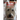The Rowlette Veterinarian Murders
