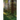 A Certain Slant of Light