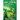 Joel Suzuki, Volume Four: Fable of the Fatewave
