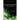 Interference