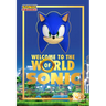 Welcome to the World of Sonic: 35th Anniversary Edition