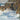 Paul Dougherty: Paintings