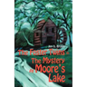The Foster Twins In The Mystery At Moore's Lake