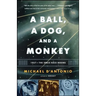 A Ball, a Dog, and a Monkey: 1957 - The Space Race Begins