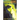 Tunnel of Secrets
