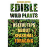 Edible Wild Plants: Useful Tips About Seasonal Foraging