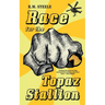 Race for the Topaz Stallion