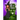 Get Witch Quick