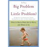 Is It a Big Problem or a Little Problem?