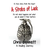 A Stroke of Luck: A Healing Journey Recovering From A Stroke