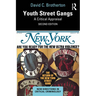 Youth Street Gangs: A Critical Appraisal