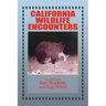 California Wildlife Encounters