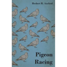 Pigeon Racing