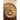 The Shell Collector