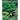 Fern Grower's Manual