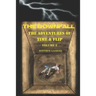 The Downfall: The Adventures Of Time & Flip
