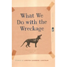 What We Do with the Wreckage: Stories