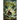 The Inferno of Prometheus