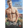 810 Destiny Dr.: A High School Friends to Lovers Romance