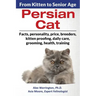 Persian Cat: From Kitten to Senior Age
