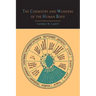 The Chemistry and Wonders of the Human Body
