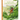 Jack and the Beanstalk: A Little Apple Classic