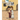 The Dusty Sandal