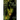 Ink Vine