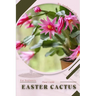Easter Cactus: Plant Guide