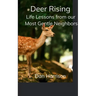 Deer Rising Life Lessons from our Most Gentle Neighbors