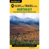 Scats and Tracks of the Northeast