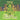 The Little Tree