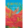 Compass Quests: The Black Stone