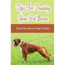 Tips For Training Your Pet Boxer: Teach Your Boxer Puppy To Obey: The Boxer'S Temperament