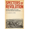 Specters of Revolution: Peasant Guerrillas in the Cold War Mexican Countryside