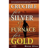 Crucible for Silver and Furnace for Gold