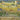 Vincent Van Gogh: Brushwork Details
