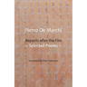 Reports after the Fire: Selected Poems