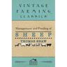 Management and Feeding of Sheep