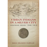 Urban Indians in a Silver City: Zacatecas, Mexico, 1546-1810